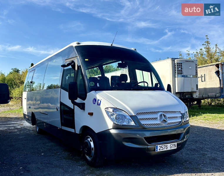 Mercedes-Benz Vario 2010