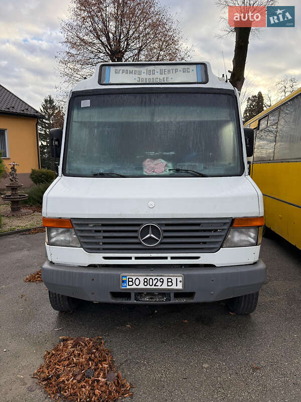 Mercedes-Benz Vario 2006 Mercedes-Benz Vario 2006