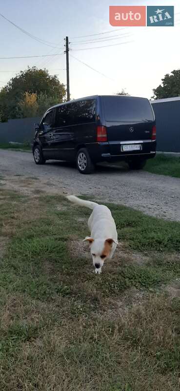 Минивэн Mercedes-Benz Vito 2003 в Черновцах