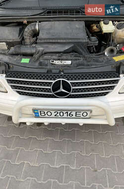 Минивэн Mercedes-Benz Vito 2004 в 