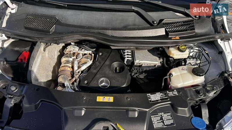 Микроавтобус грузовой (до 3,5т) Mercedes-Benz Vito 2021 в Звягеле