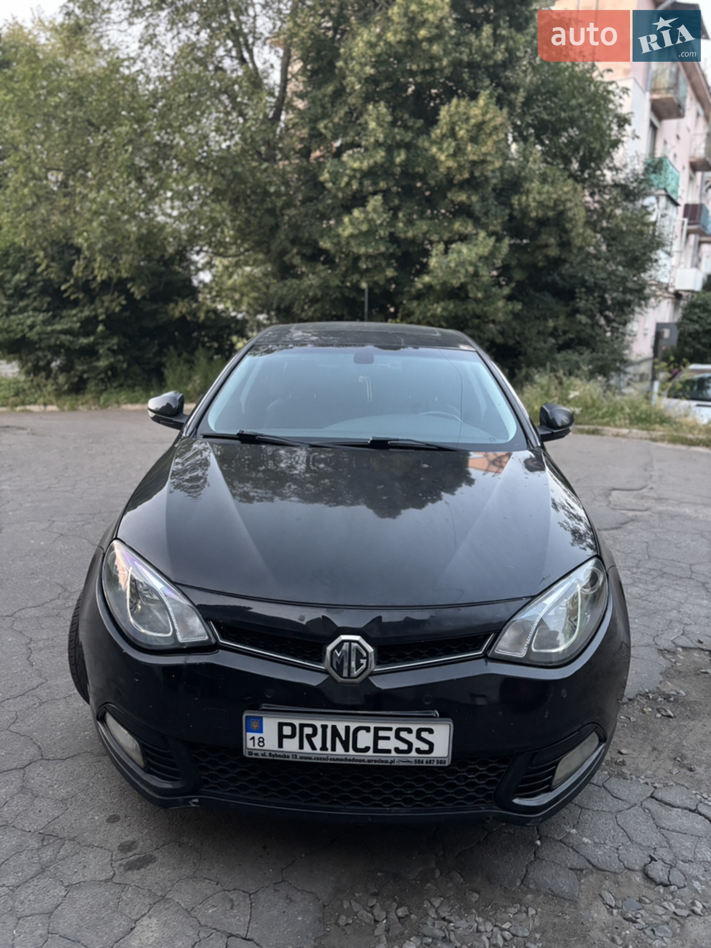 MG 6 2013