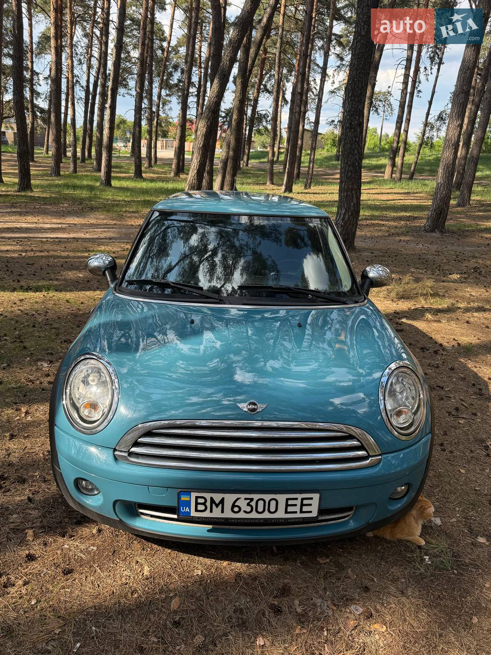 2010 MINI Cooper - мініатюра 14