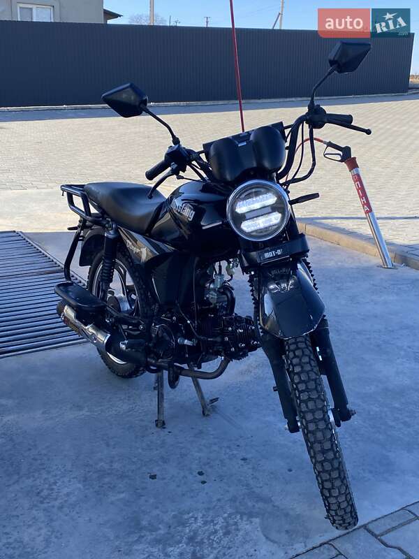 Musstang Dingo 2020