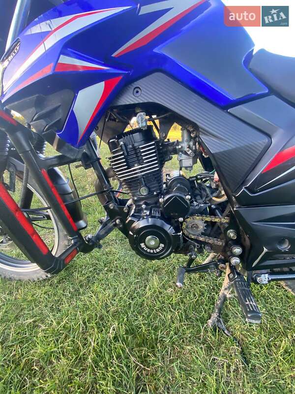 Мотоцикл Классик Musstang MT 200 Region 2022 в Нововолынске фото 3 Мотоцикл Классик Musstang MT 200 Region 2022 в Нововолынске