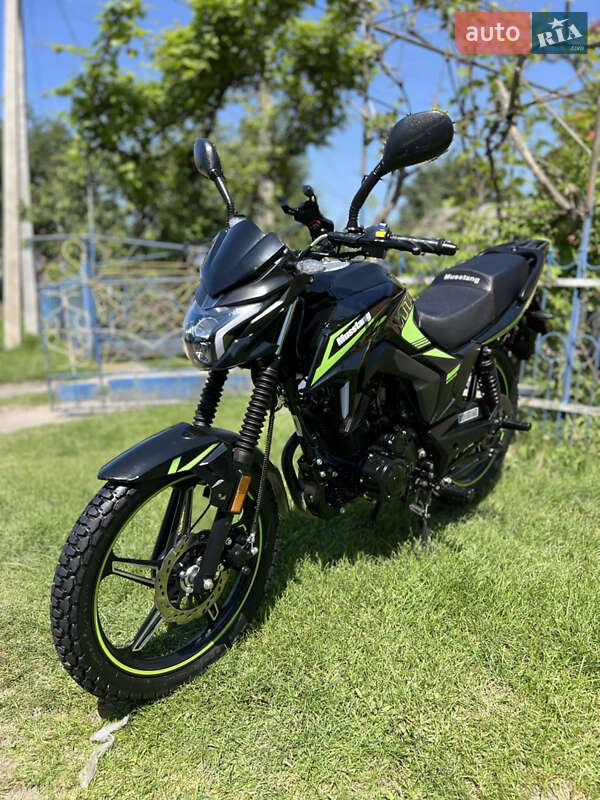 Мотоцикл Классик Musstang MT 250 Region 2024 в 