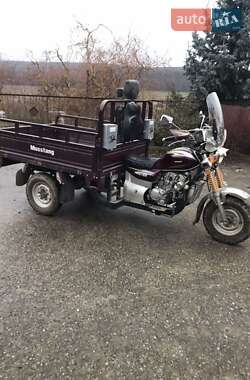 Вантажні моторолери, мотоцикли, скутери, мопеди Musstang MT200ZH-4V 2013 в Тернополі