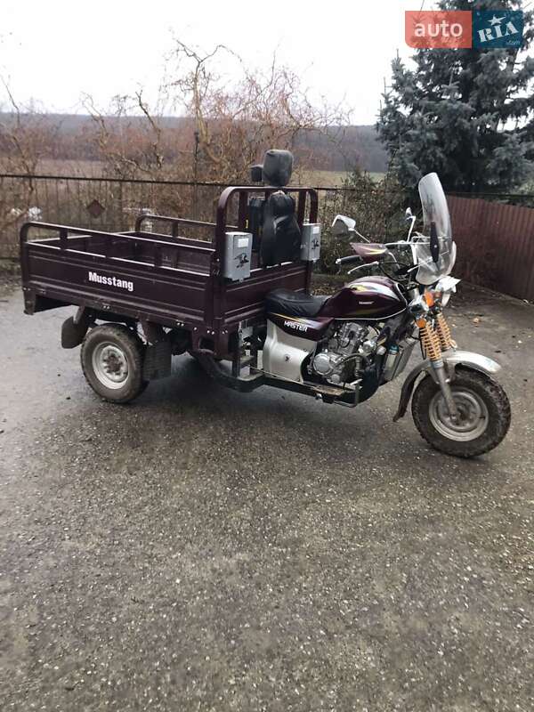 Musstang MT200ZH-4V 2013 Musstang MT200ZH-4V 2013