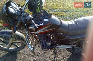 Грузовые мотороллеры, мотоциклы, скутеры, мопеды Mustang BL 2013 в 