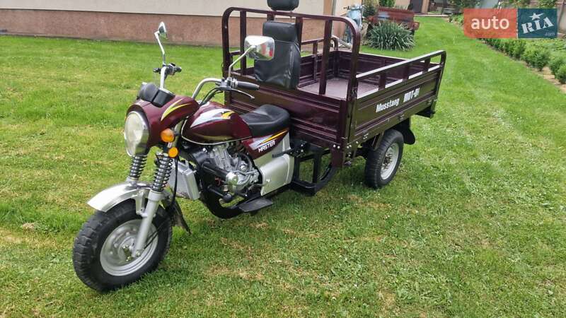Грузовые трициклы Mustang BL 2019 в 