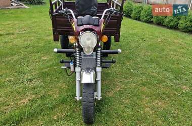 Грузовые трициклы Mustang BL 2019 в 