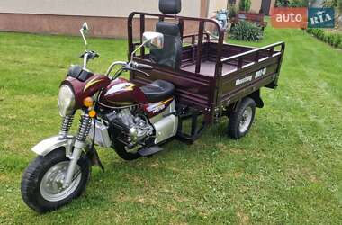Грузовые трициклы Mustang BL 2019 в 