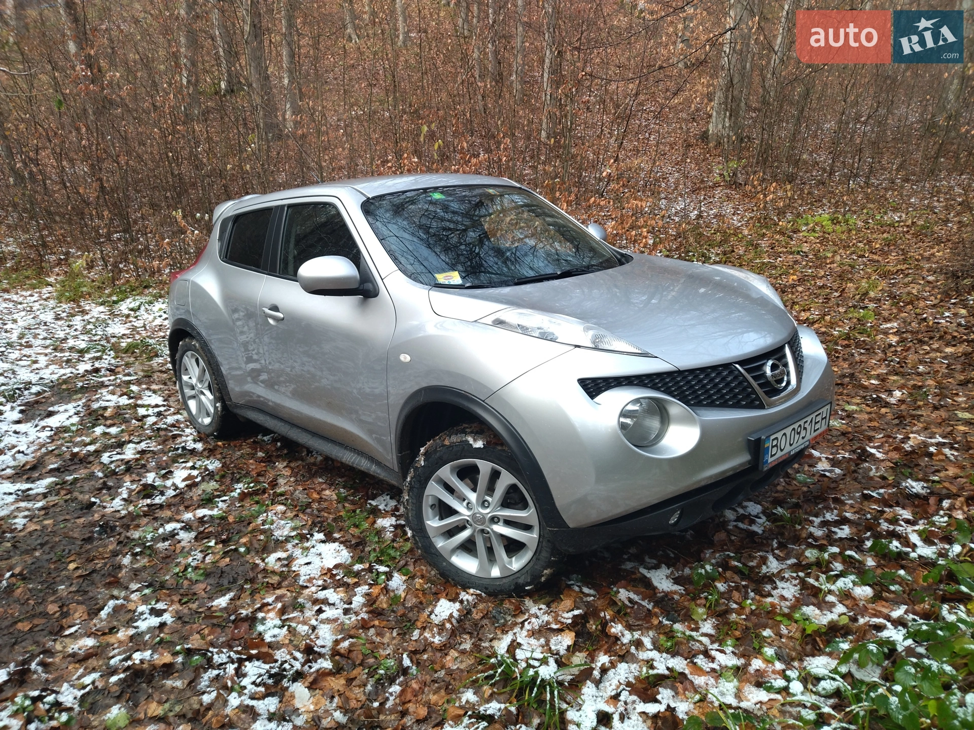 2010 Nissan Juke - фото 1