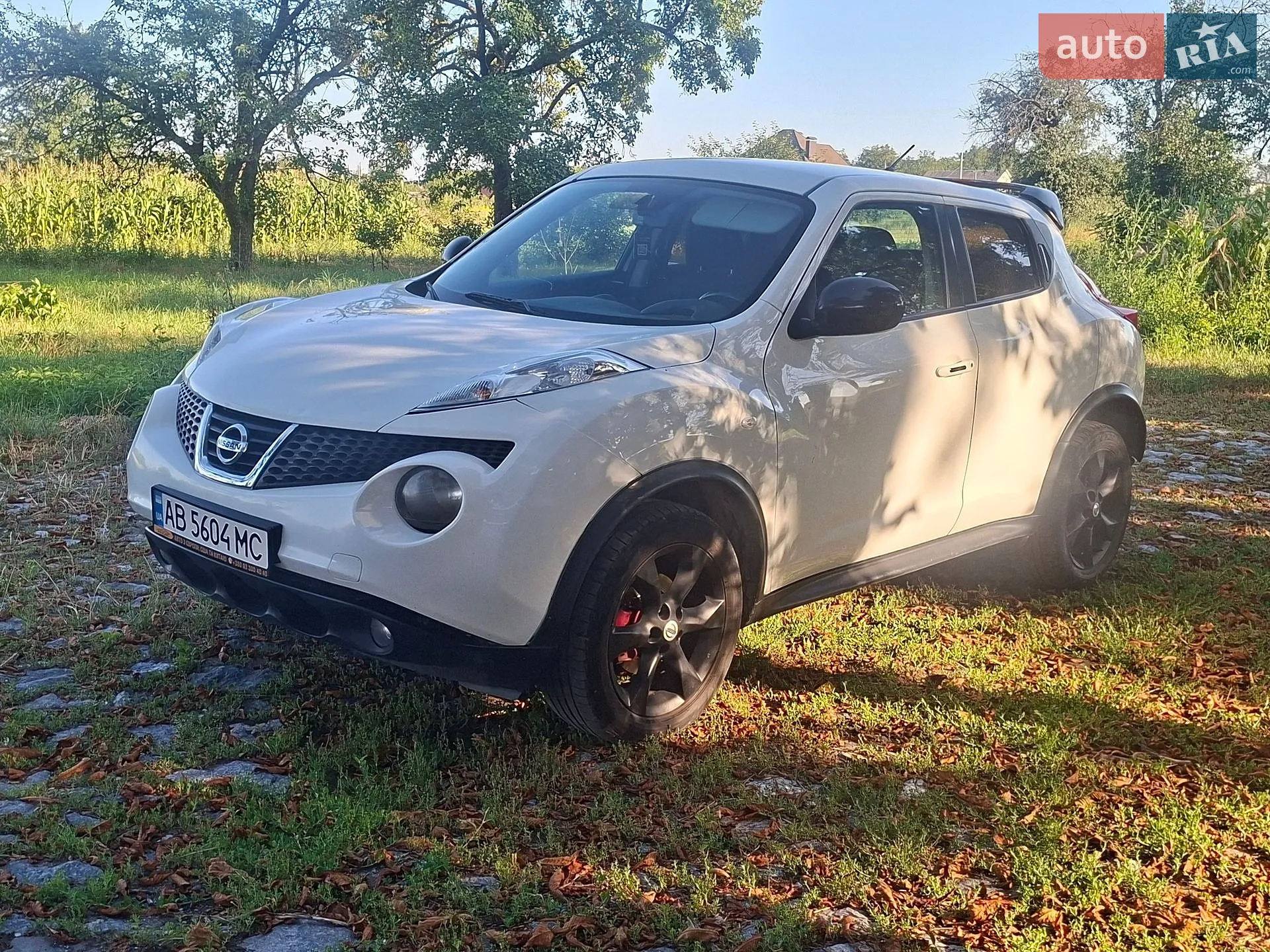 2011 Nissan Juke - мініатюра 2