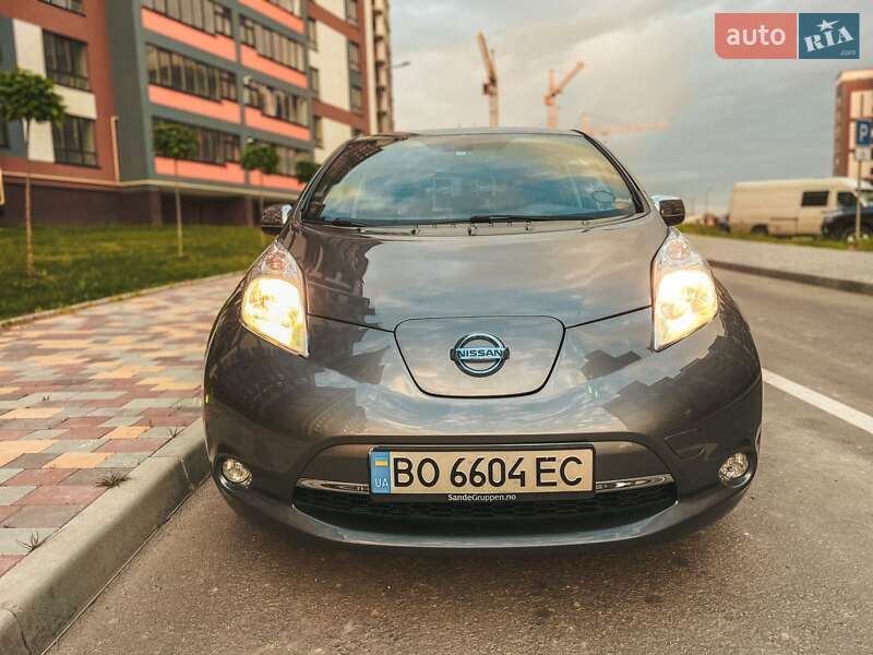Хэтчбек Nissan Leaf 2014 в Тернополе фото 14 Хэтчбек Nissan Leaf 2014 в Тернополе