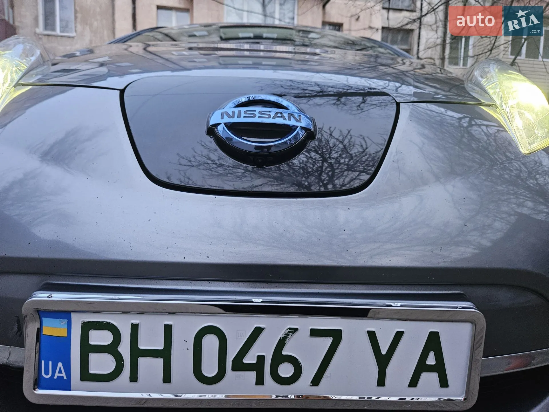 2013 Nissan Leaf - мініатюра 2