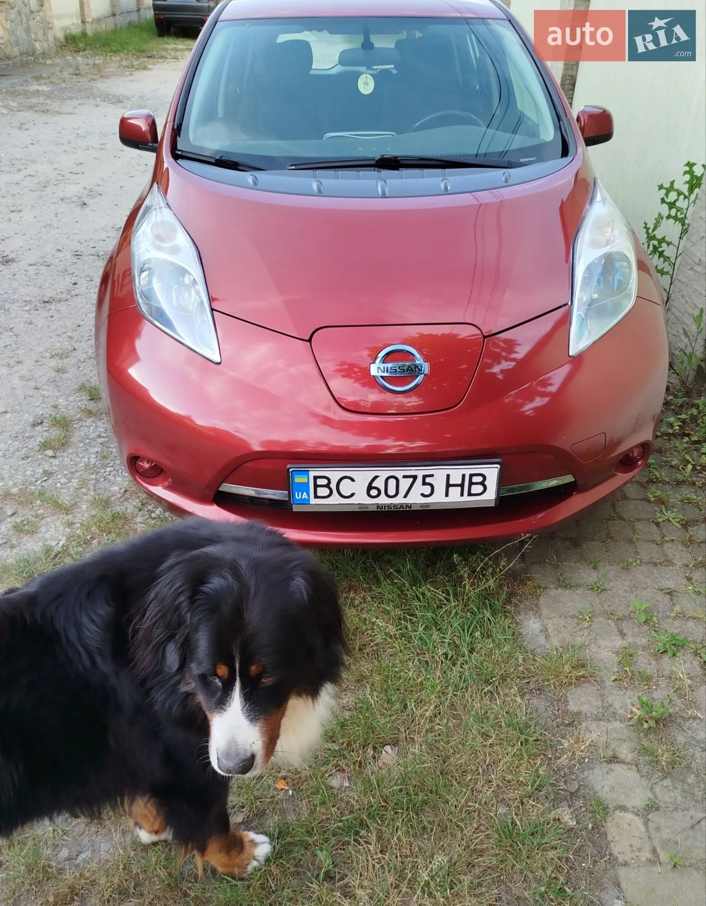 2014 Nissan Leaf - фото 1