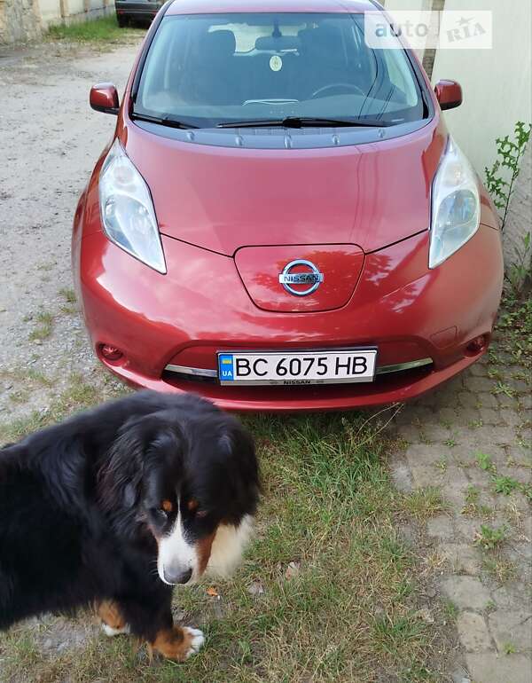 Nissan Leaf 2014