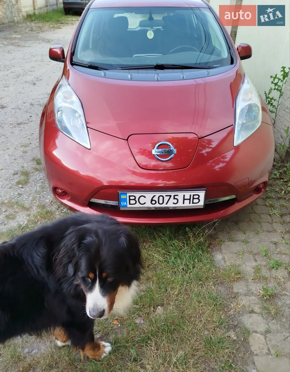 2014 Nissan Leaf - мініатюра 13