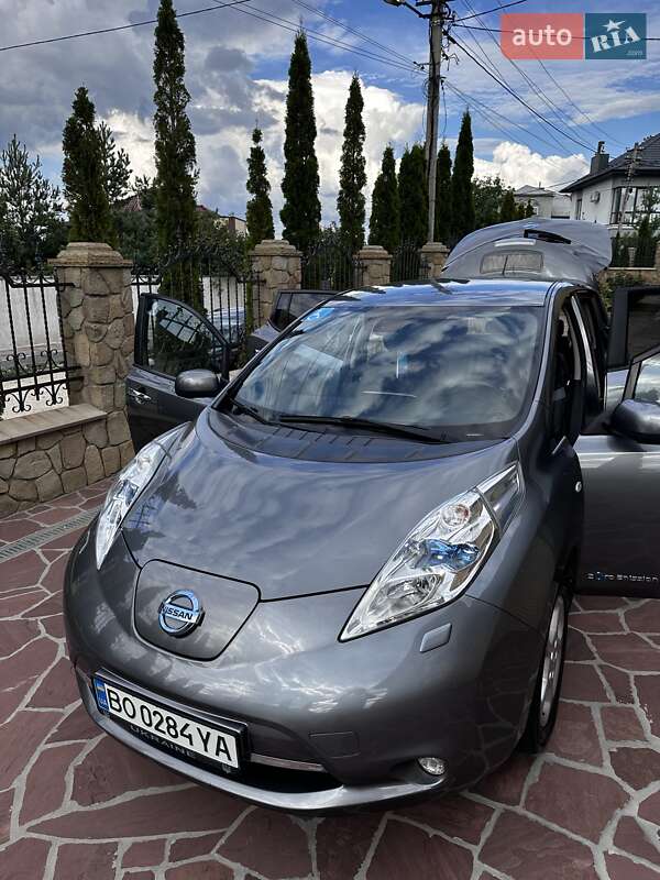 Nissan Leaf 2014