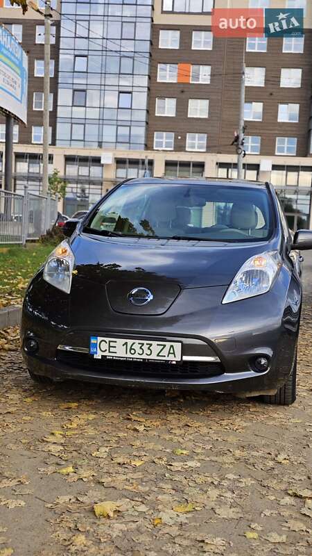 Nissan Leaf 2013