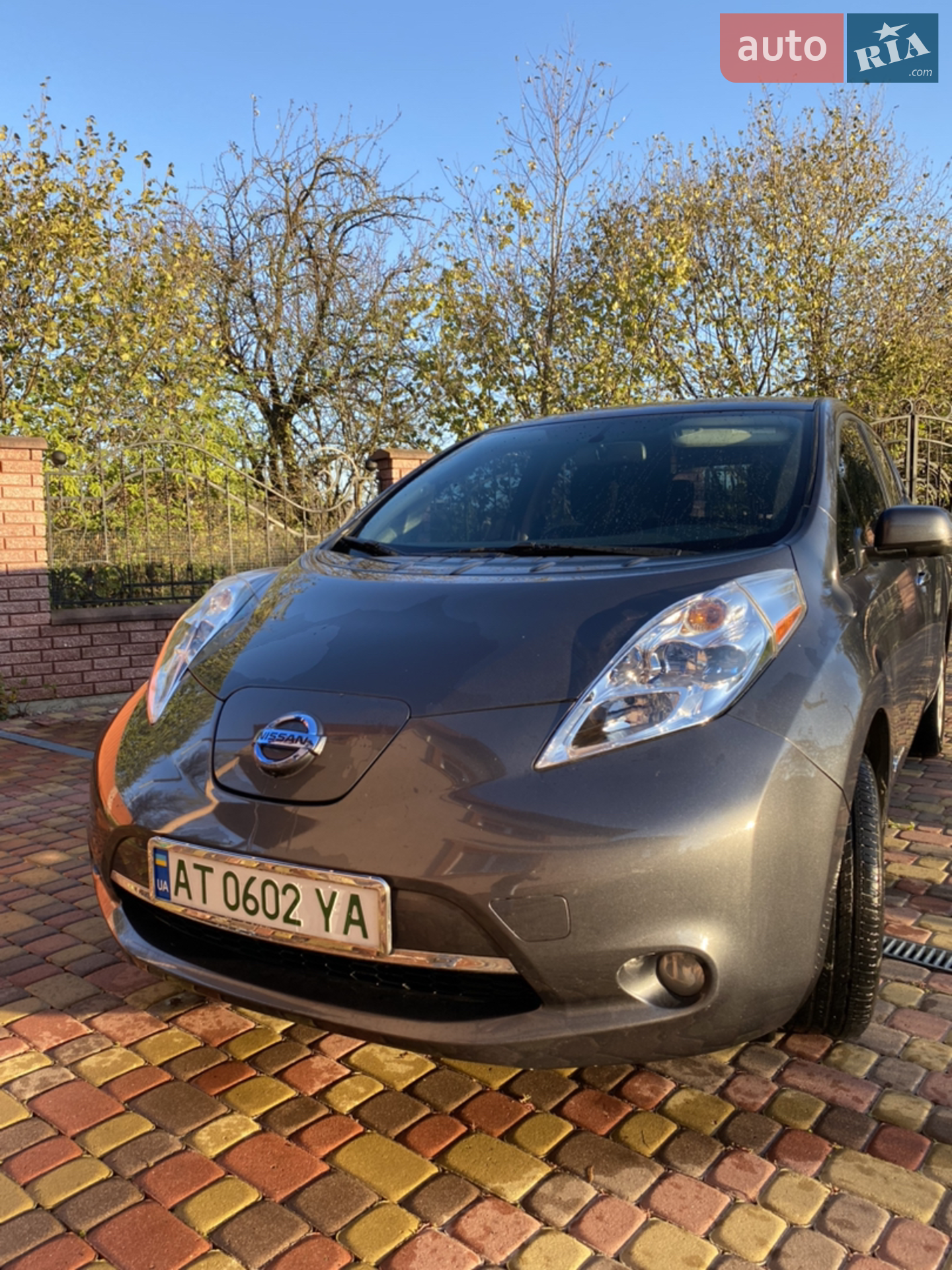 2013 Nissan Leaf - мініатюра 2