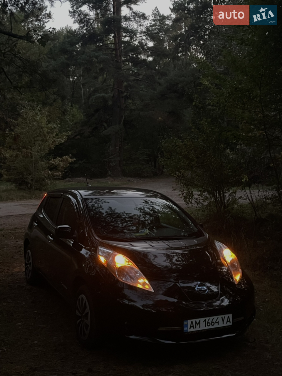 2014 Nissan Leaf - мініатюра 16
