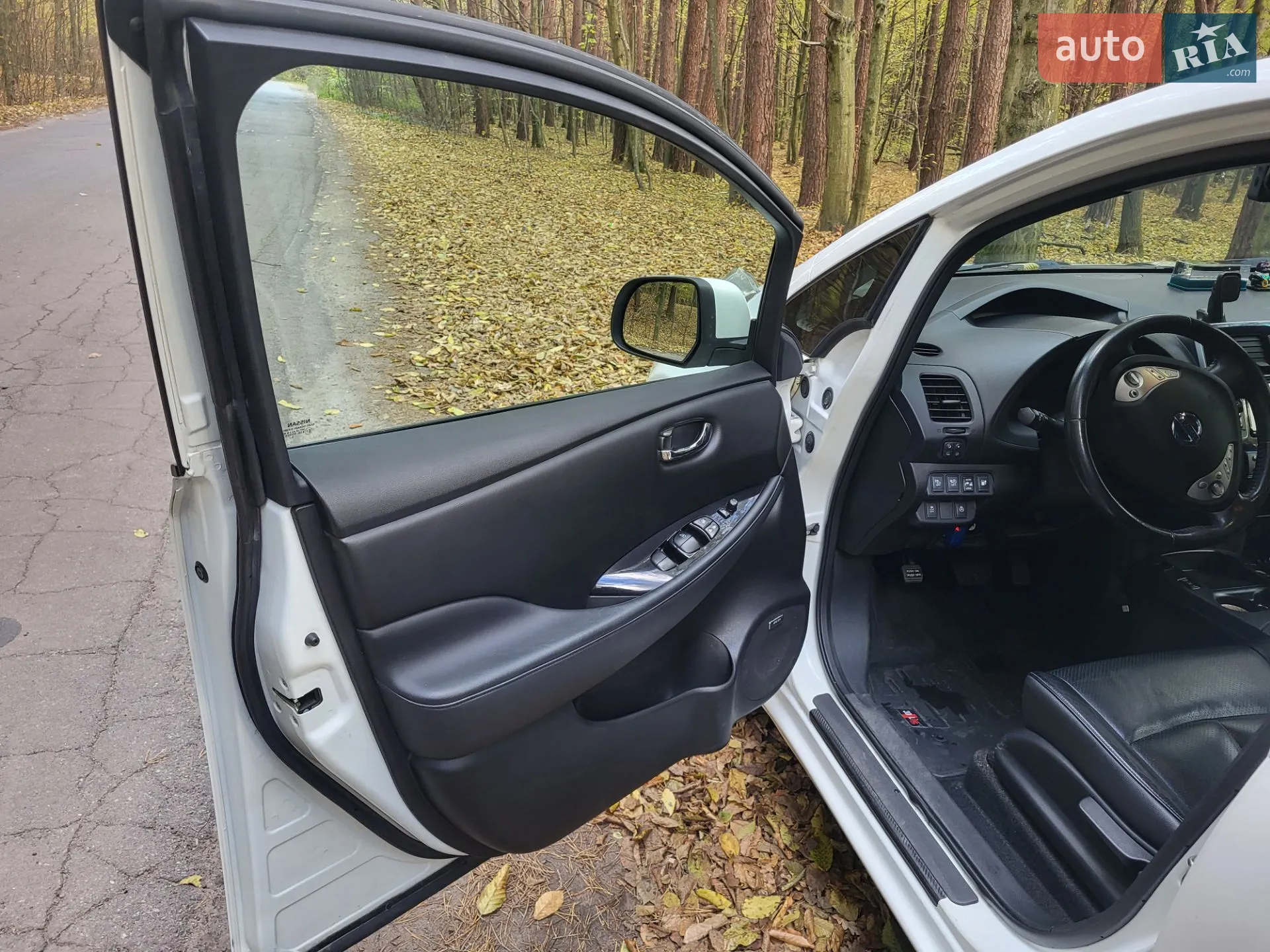 2014 Nissan Leaf - мініатюра 9