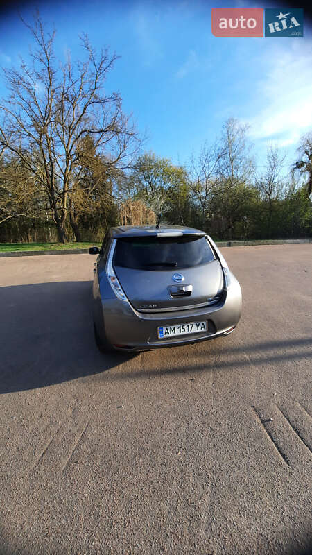 Хетчбек Nissan Leaf 2013 в Житомирі фото 6 Хетчбек Nissan Leaf 2013 в Житомирі