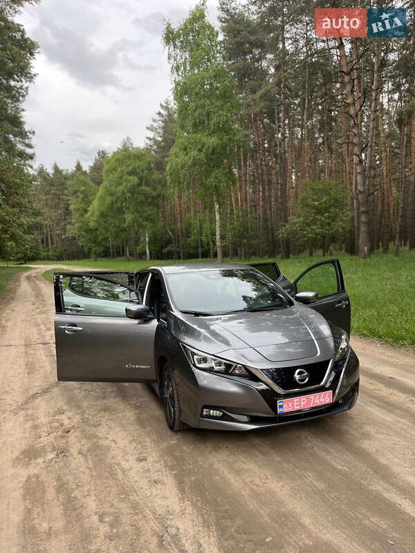 Хетчбек Nissan Leaf 2019 в Бердичеві