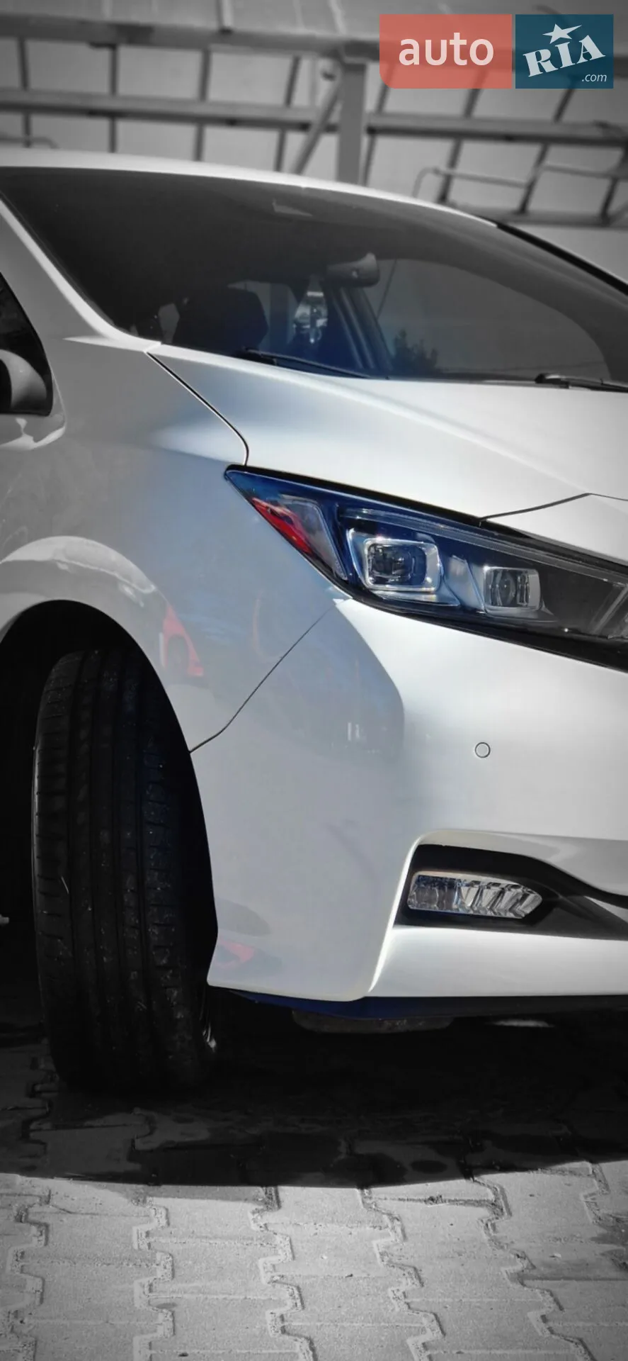 2019 Nissan Leaf - фото 1