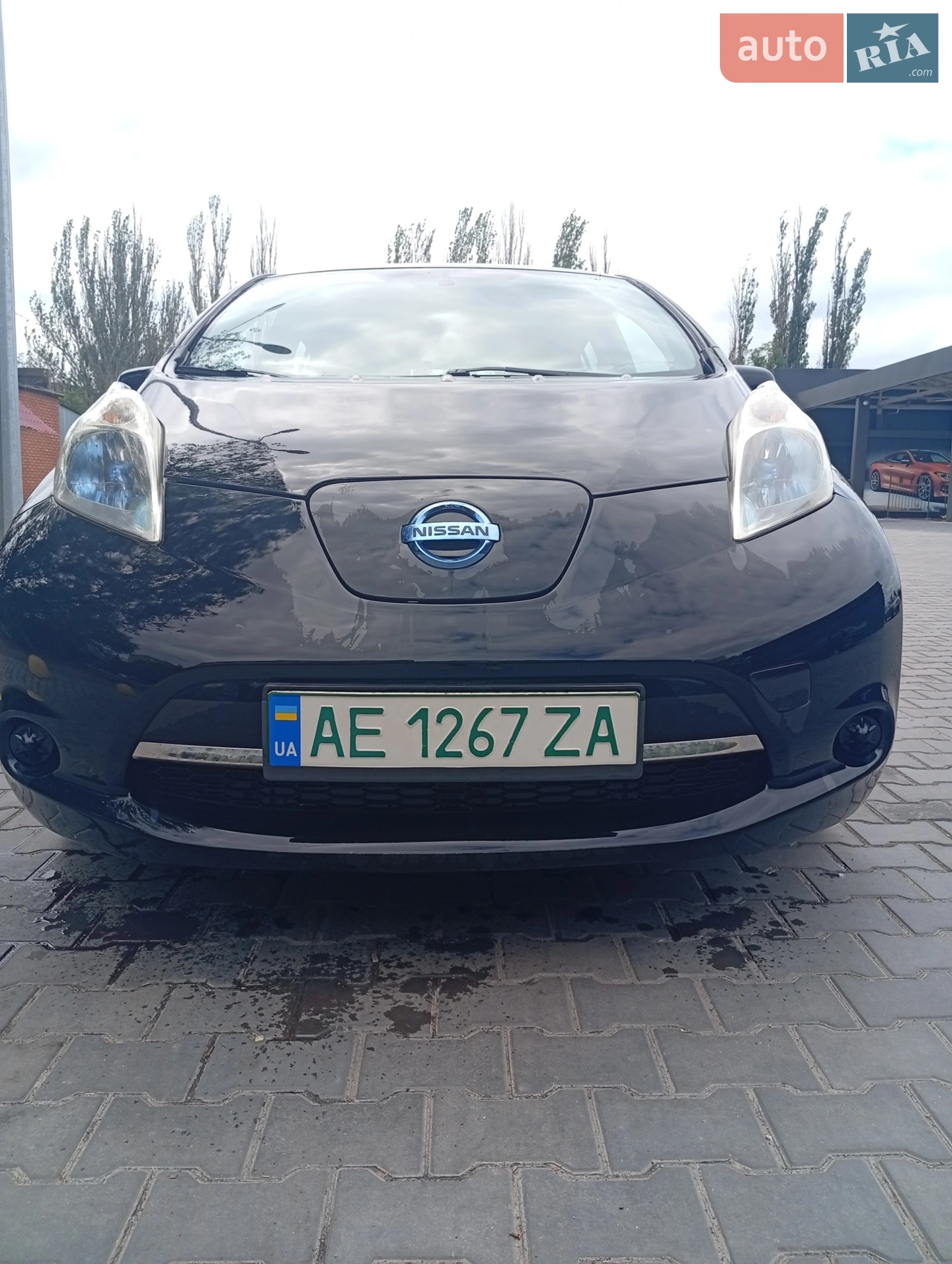2013 Nissan Leaf - мініатюра 2