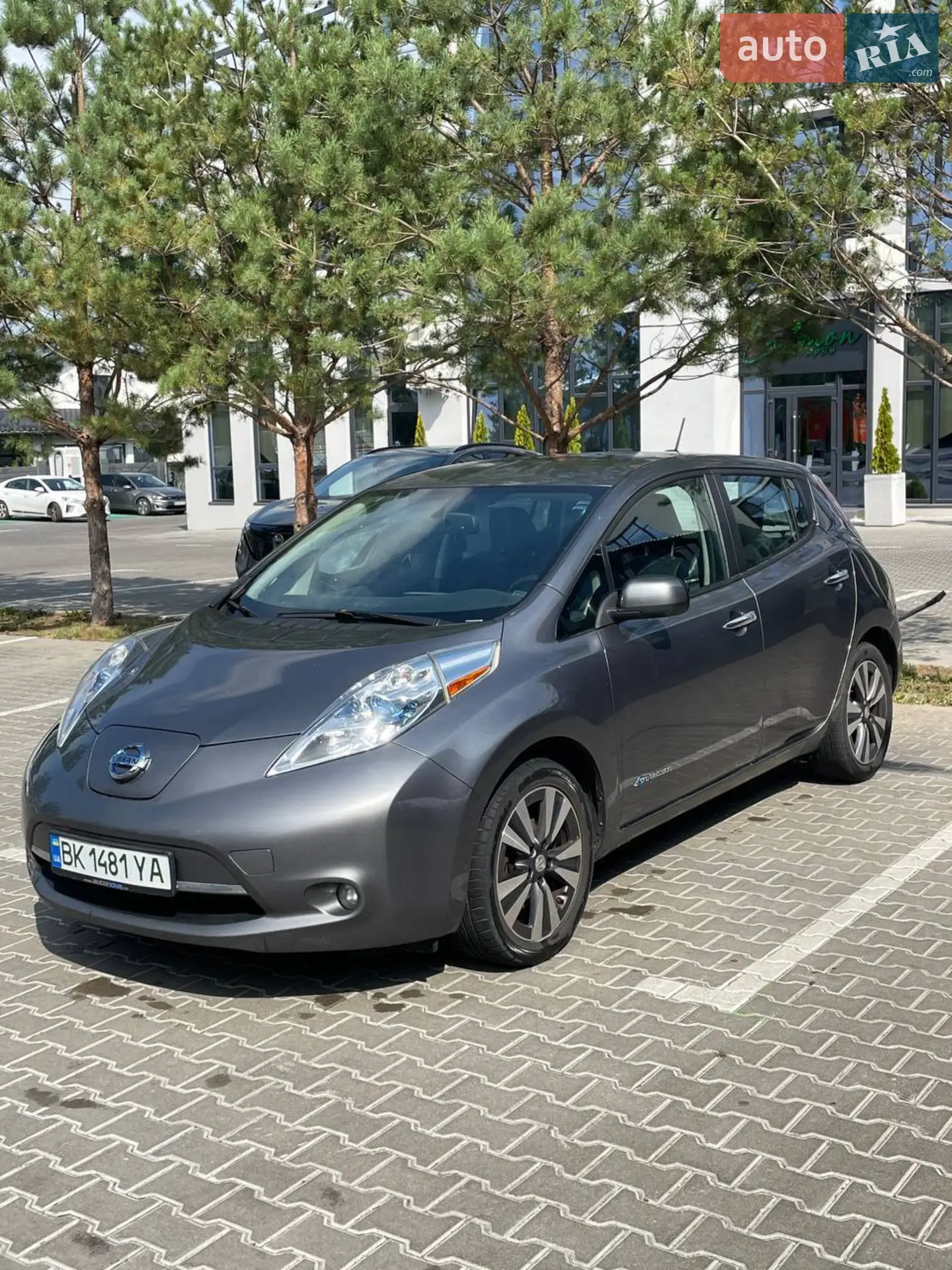 2014 Nissan Leaf - фото 1