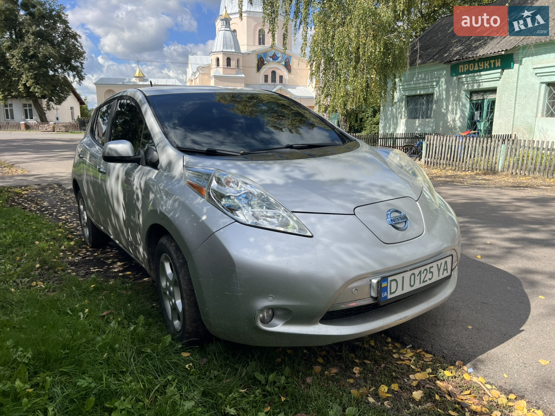 2013 Nissan Leaf - фото 1
