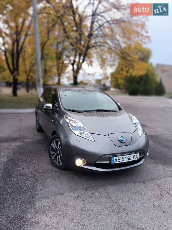 Nissan Leaf 2013