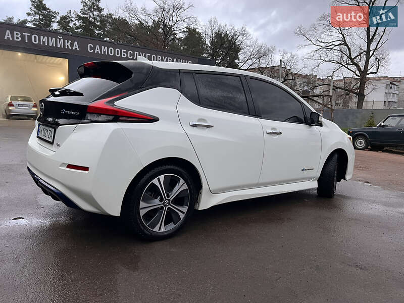 Хетчбек Nissan Leaf 2019 в Житомирі