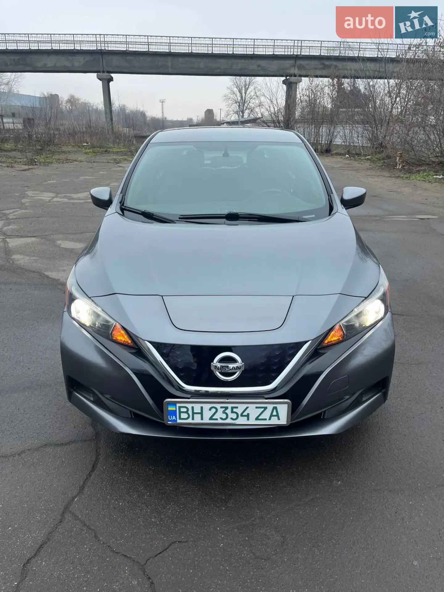 2018 Nissan Leaf - фото 1