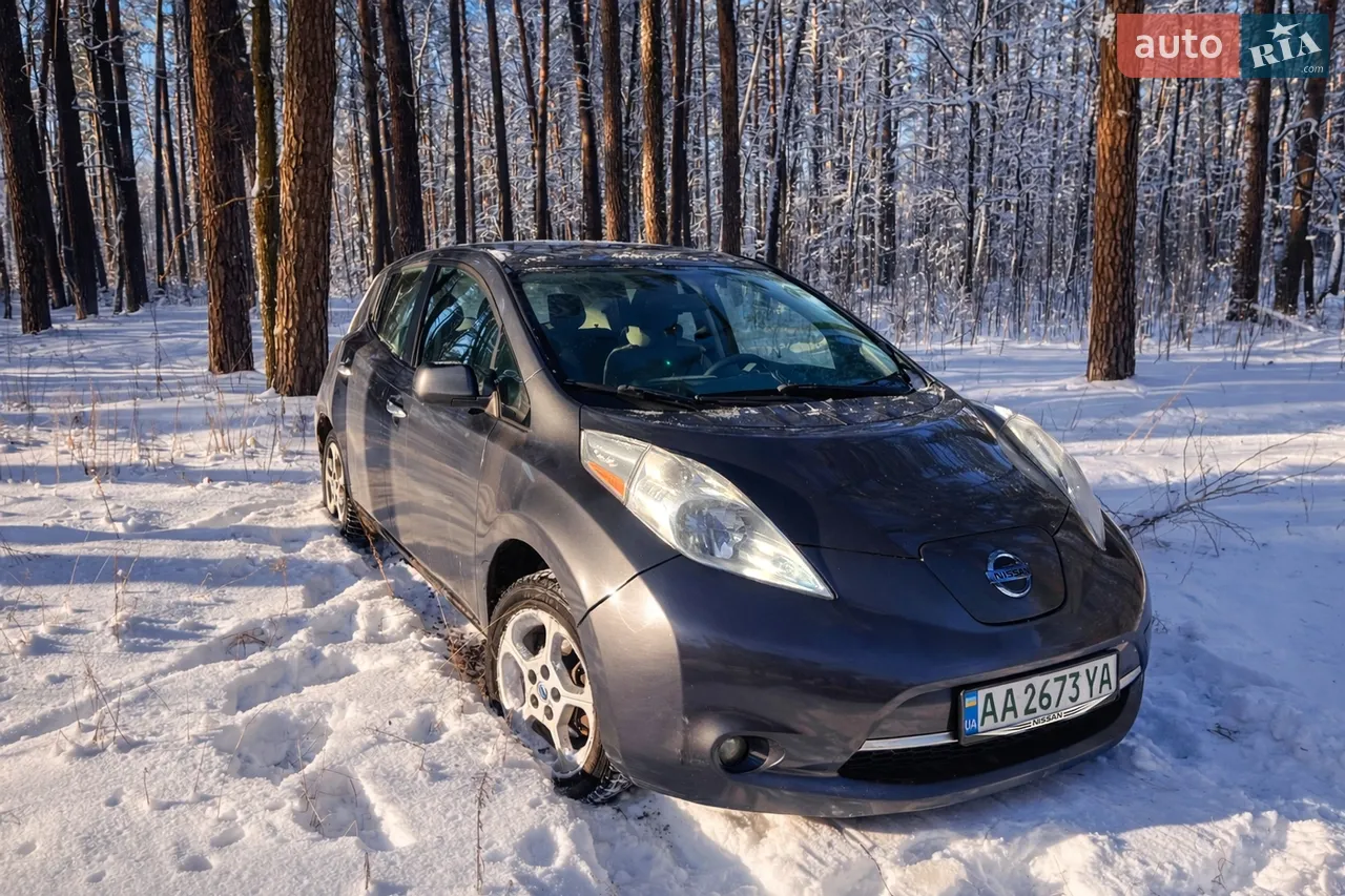 2014 Nissan Leaf - мініатюра 11