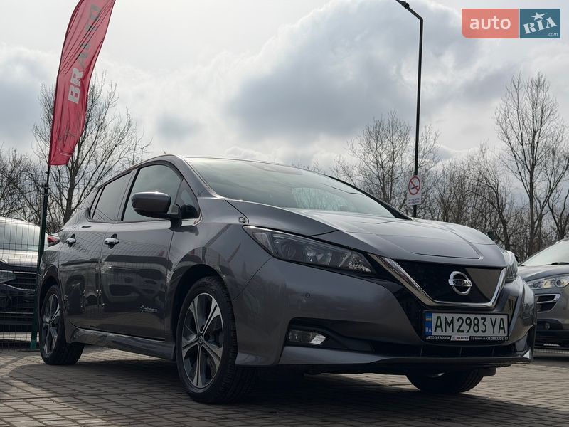 Хетчбек Nissan Leaf 2019 в Бердичеві