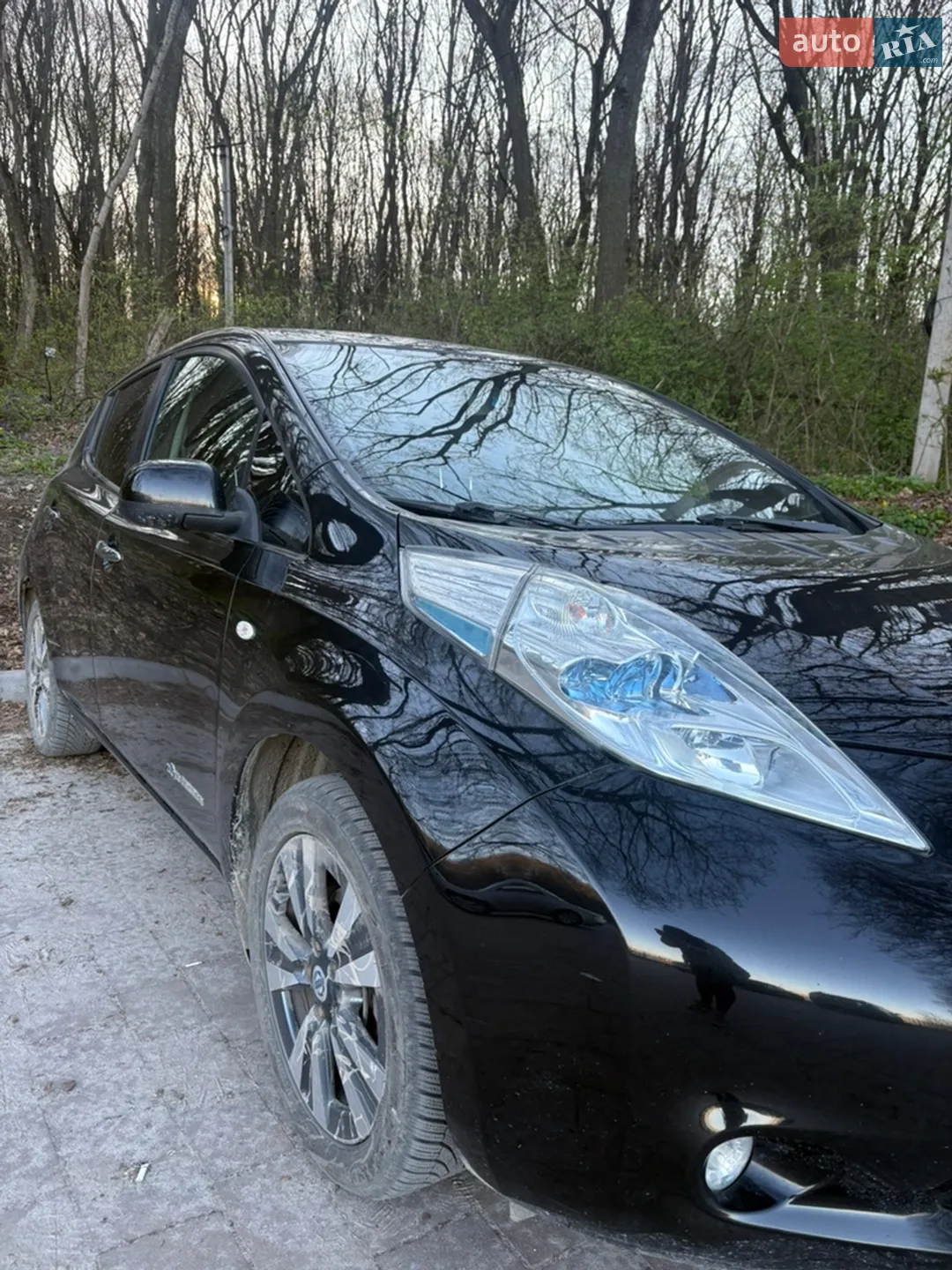2014 Nissan Leaf - мініатюра 2