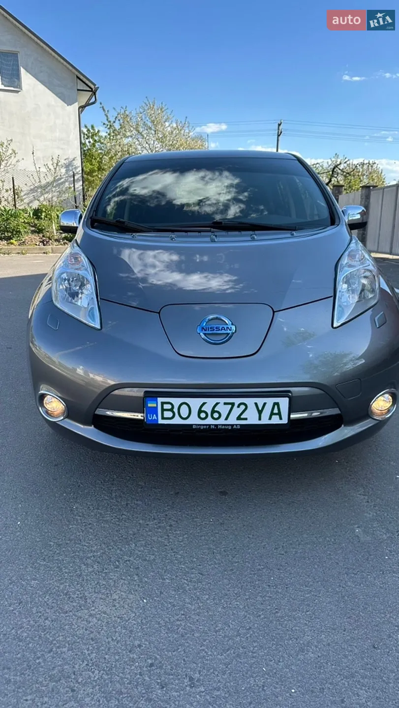 2014 Nissan Leaf - мініатюра 2