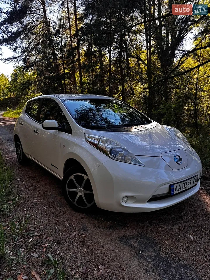 2014 Nissan Leaf - мініатюра 30