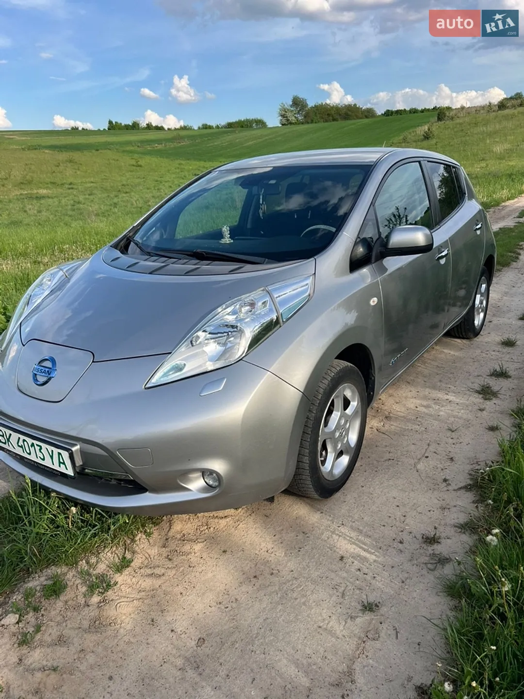 2014 Nissan Leaf - фото 1