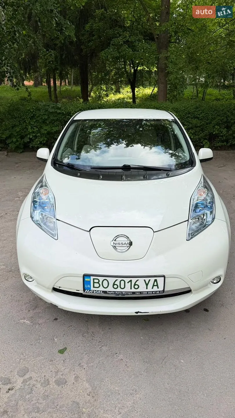 2013 Nissan Leaf - фото 1