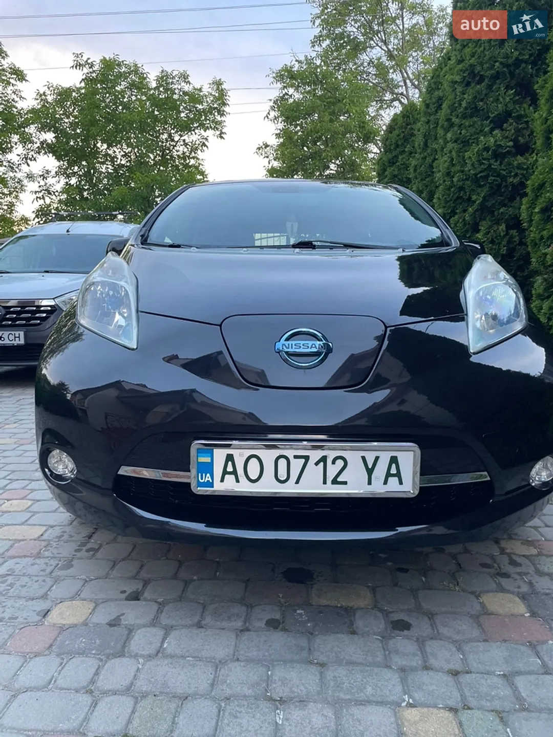 2013 Nissan Leaf - мініатюра 3