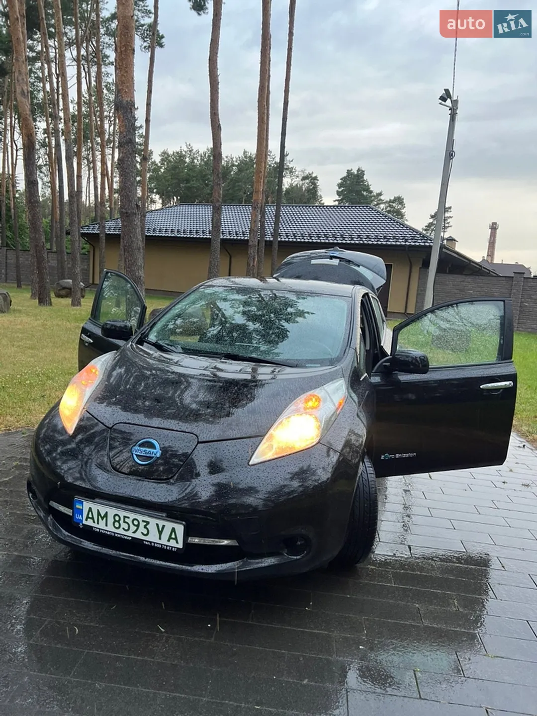 2015 Nissan Leaf - мініатюра 9