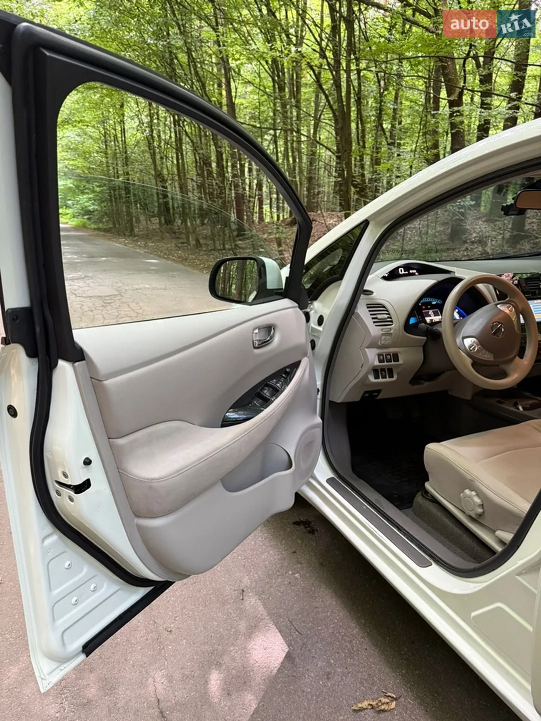 2010 Nissan Leaf - мініатюра 20