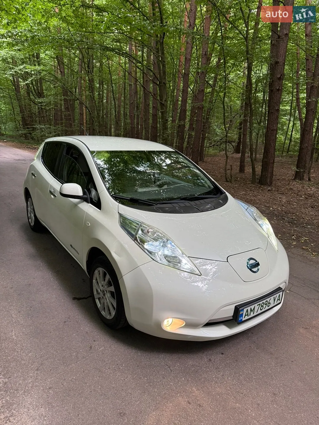 2010 Nissan Leaf - мініатюра 60