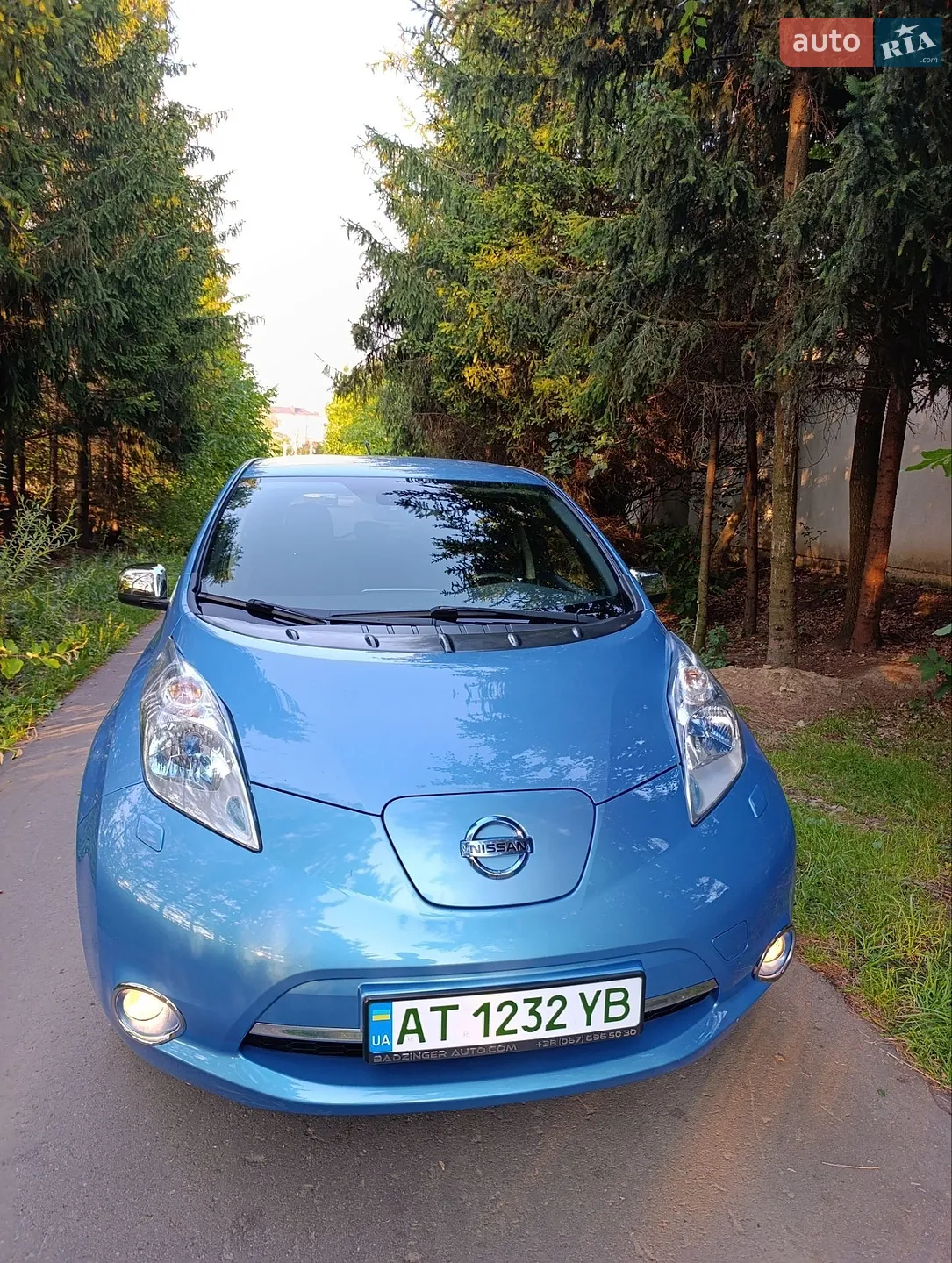 2013 Nissan Leaf - мініатюра 5