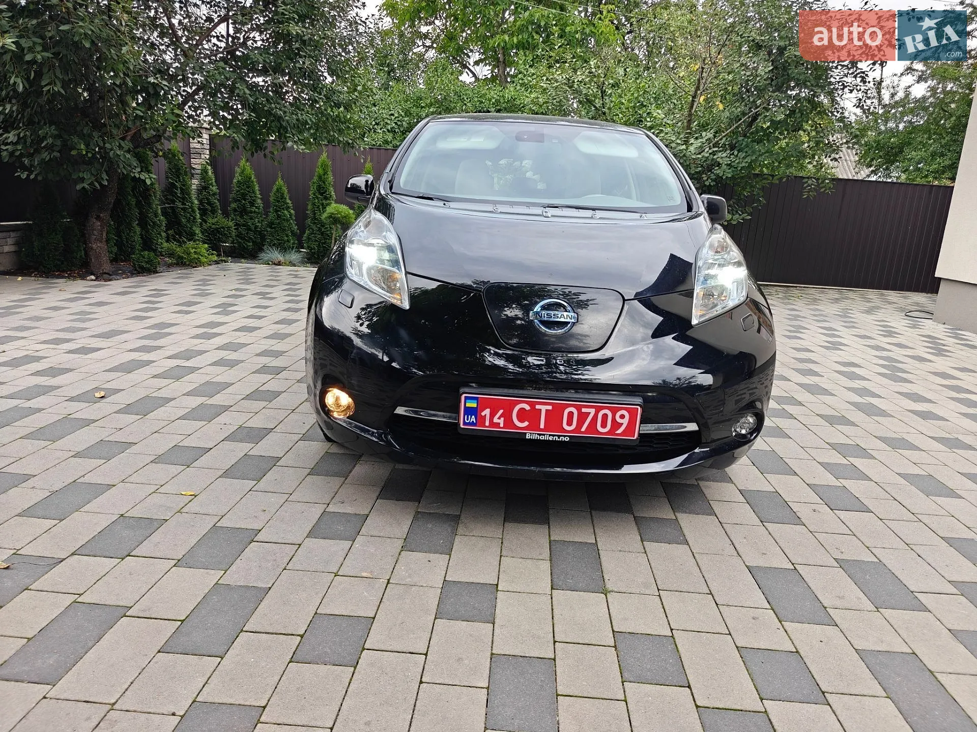 2013 Nissan Leaf - мініатюра 2